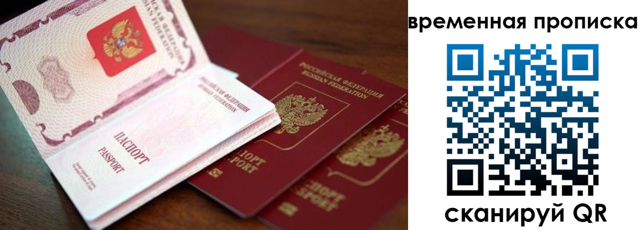 прописка гарантия в Светлогорске